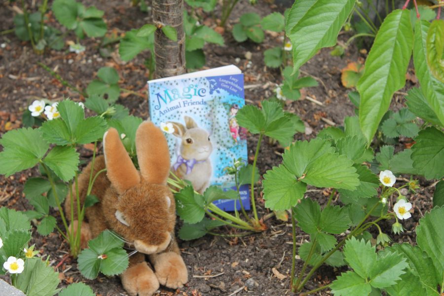 Lucy Longwhiskers gets lost Lucy Longwhiskers gets lost