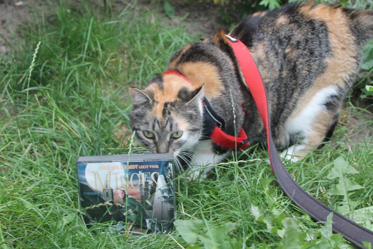 Minoes cd