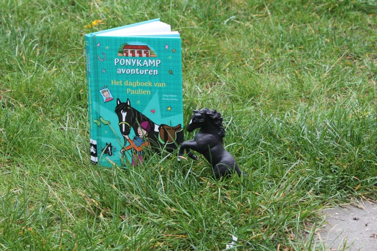 Het dagboek van Paulien